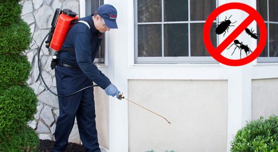 Konak Karınca İlaçlama böcek ilaçlama ve haşere kontrolü — ilaclama-tr.com